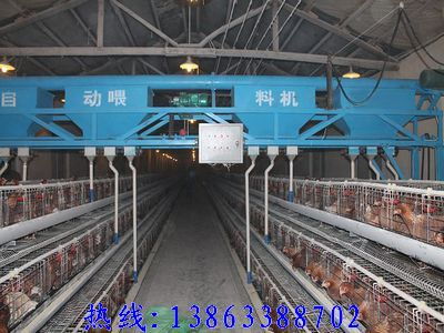 现代化蛋鸡养殖伴侣 自动化喂料机深度解析