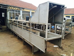 家禽屠宰设备革新 烫毛机在生产流水线中的关键作用与畜牧机械制造的现代化发展