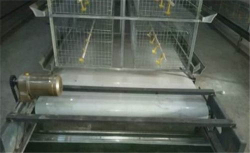 鸡粪传送带 提升湖南养鸡场清洁效率的关键畜牧机械