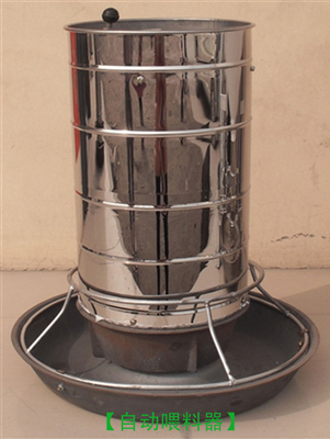 保育自动下料槽 现代化养猪场的智能饲养利器